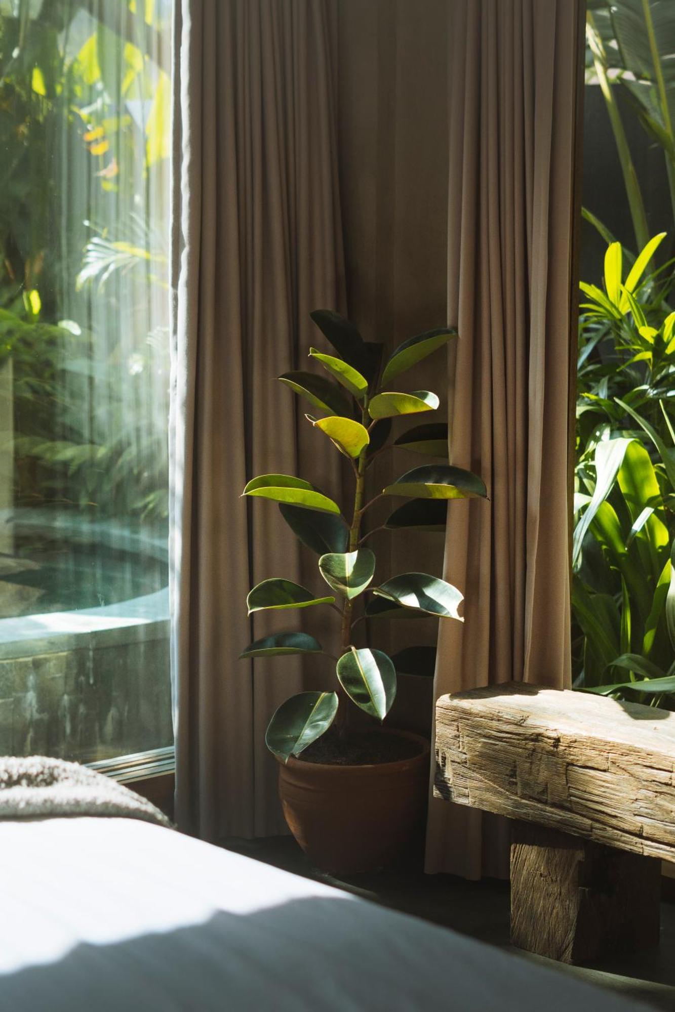 Masa Kecil - Stylish 1 Bedroom With Refreshing Plunge Pool And Private Garden Villa